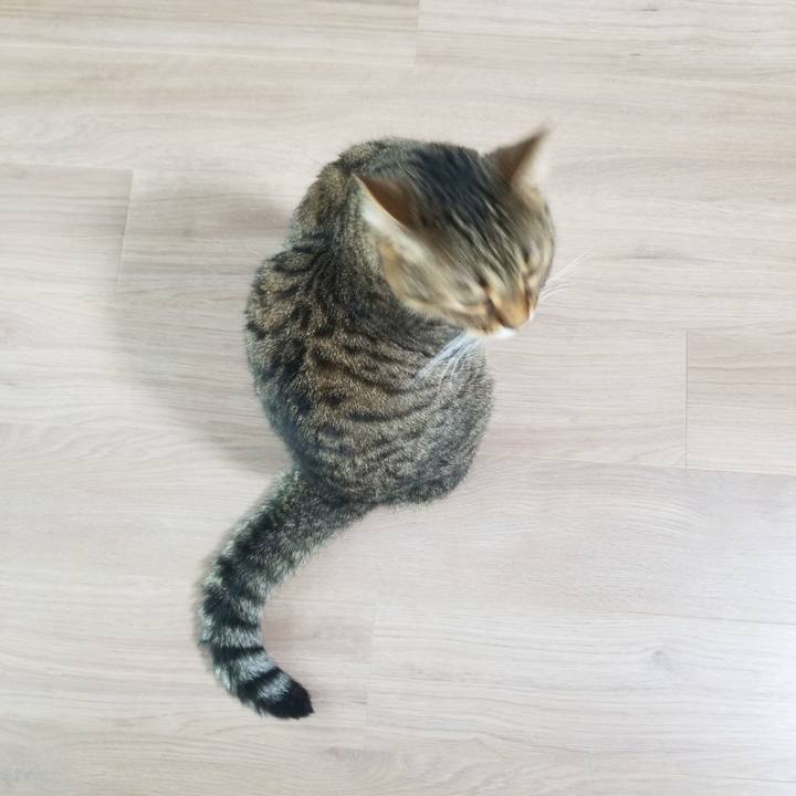 0b3b958f 7c62 4282 b743 0ea1721099a8 1593823891194