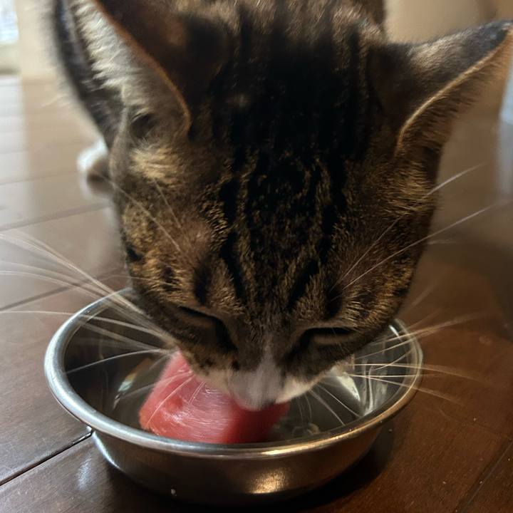 0b3bcdb6 b9e9 4af2 acc0 9503677b624f 1758886222241