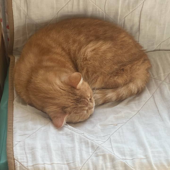 0b3c28a1 24e9 49b9 a2d8 676c6e8372ed 1639534789233