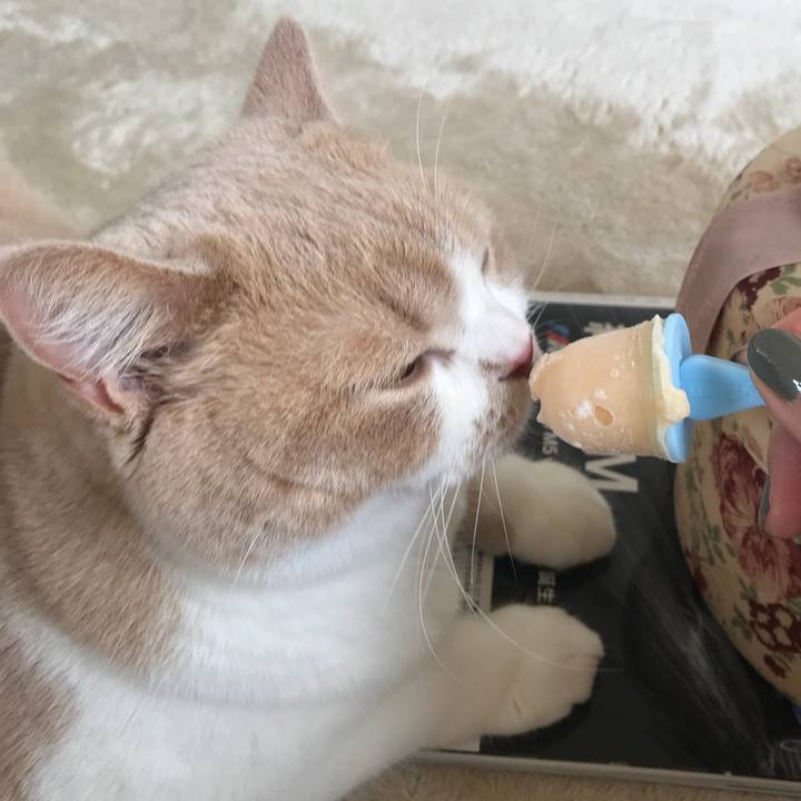 0b3c29d5 f356 4045 b959 5834c92fdb55 1533134797012