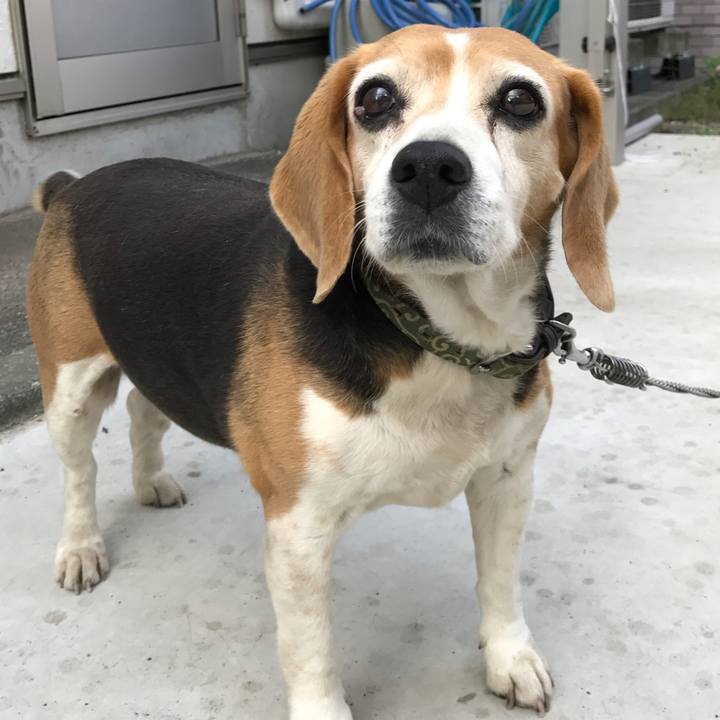 0b3c30ec 6676 4851 98cc 6b3bed9d346c 1542458041220