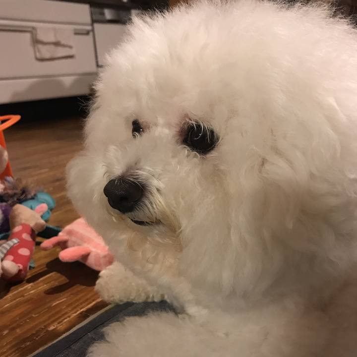 0b3c3348 eb7f 476e b831 ecbd5ce98524 1533732490078