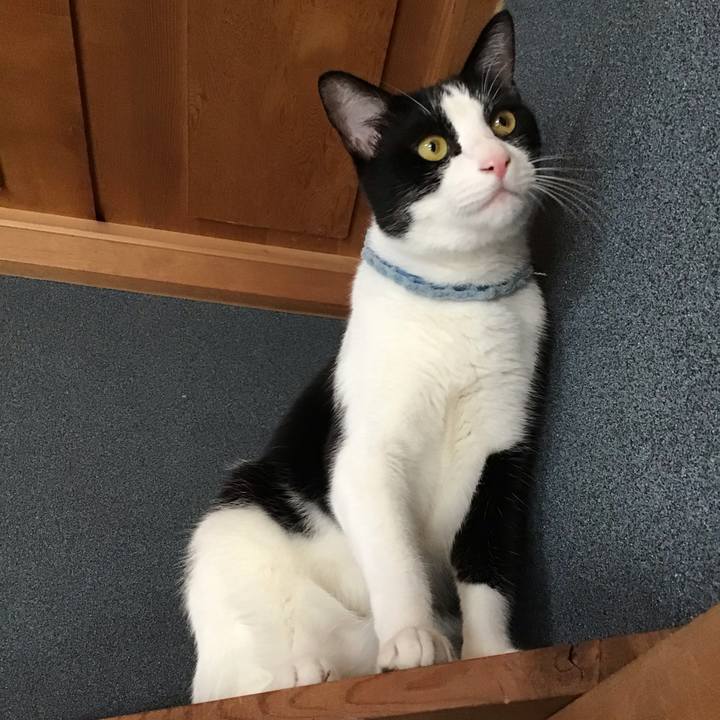 0b3c41d6 1dd1 46f0 a2b1 b81ff95b5222 1662889219748