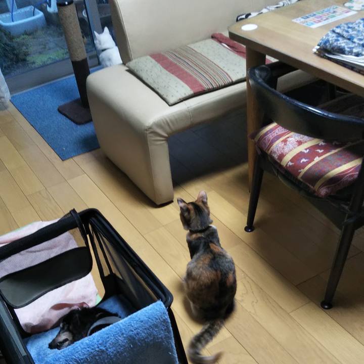 0b3c59e5 7d41 49e7 bbcd 68809c879108 1643065069605