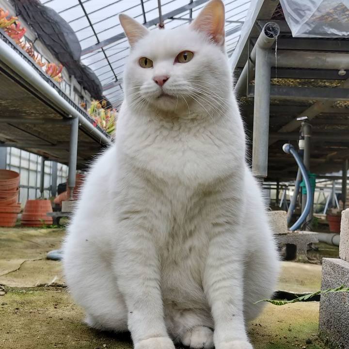 0b3c70f4 063a 47e3 93f9 86bfb0d4c2ce 1762073999959