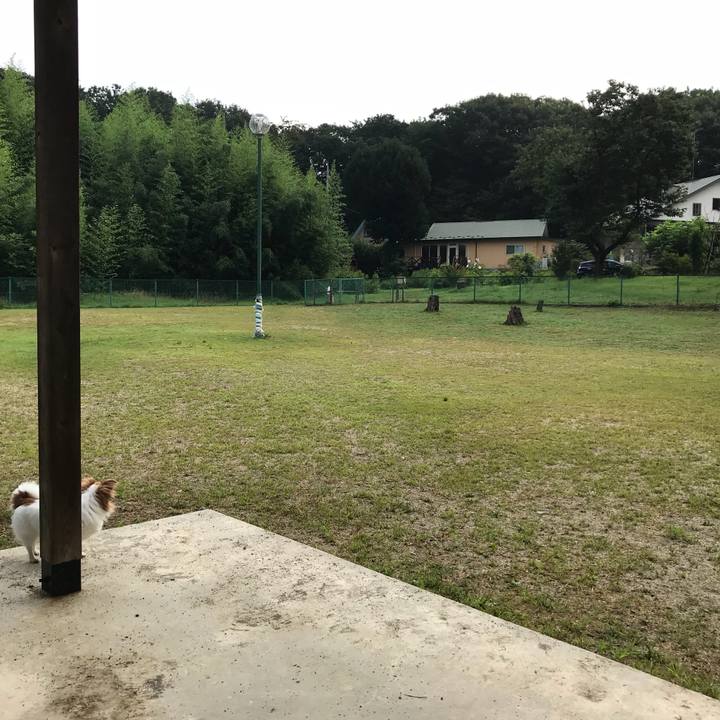 0b3ca0e7 e567 4b50 be69 2d2eca4f33e7 1565696620447