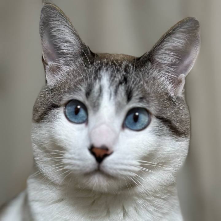 0b3cd86a 647f 442a ab81 33cceb63eae9 1671782680643