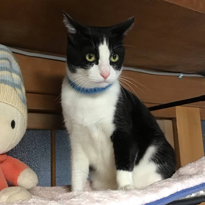 0b3d0402 f5c6 4f72 b293 eaf7228de3d1 1746788671980