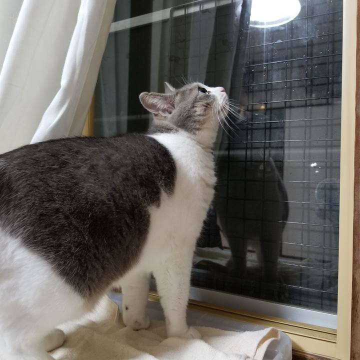 0b3d0b88 a73b 4144 a710 c24e5fcb6952 1634722889358