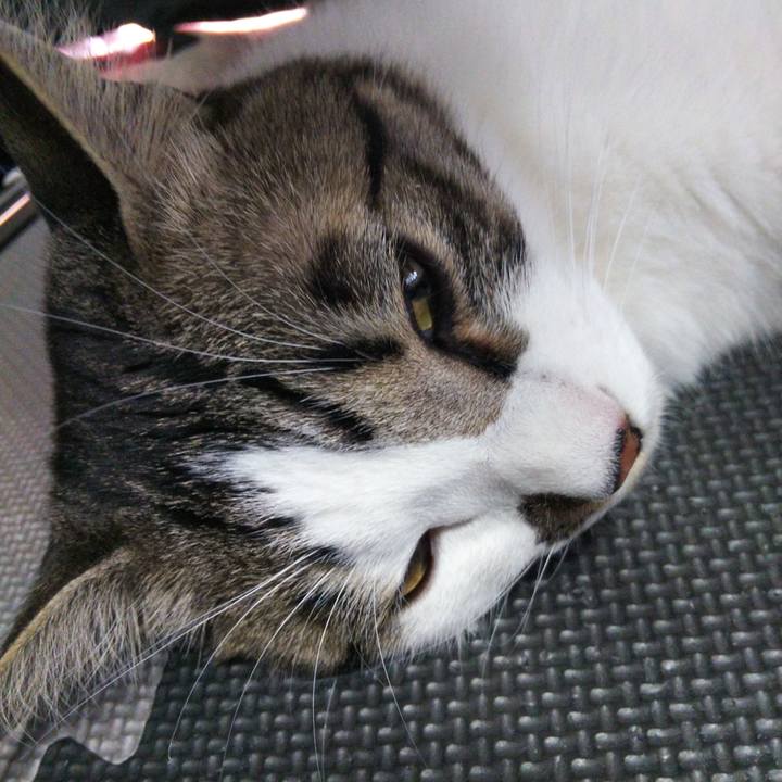 0b3d1e85 16be 47a7 b3e2 448bd7cd5c97 1645672353468