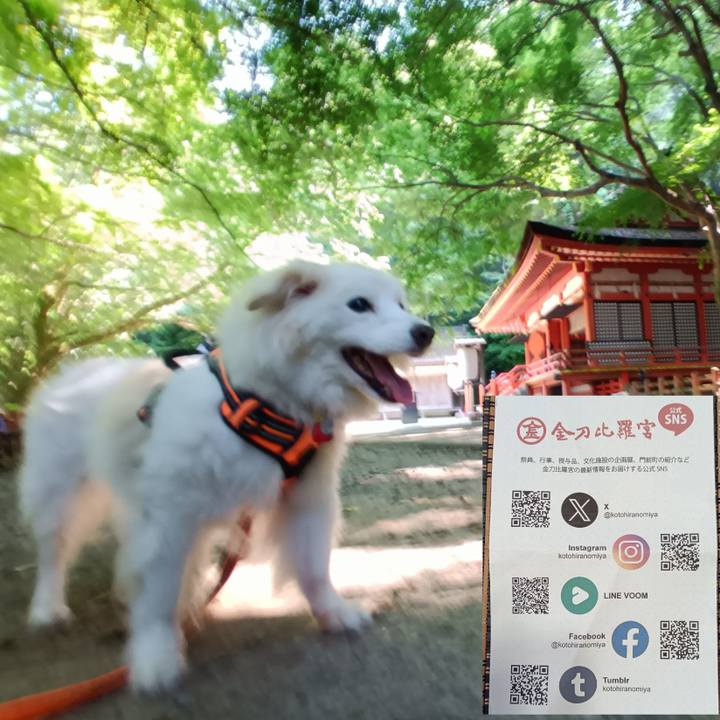 0b3d34d7 e2b2 4c55 b3a9 5d3e225c17d5 1750408277636