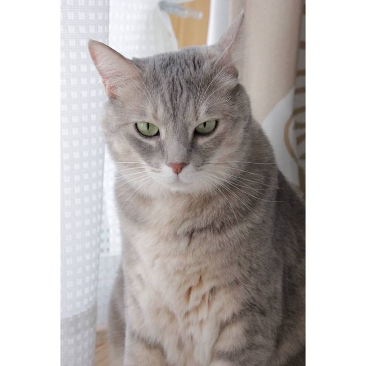 0b3d5035 09b3 4a66 8cef a5b2ec66a7e6 1667108361548