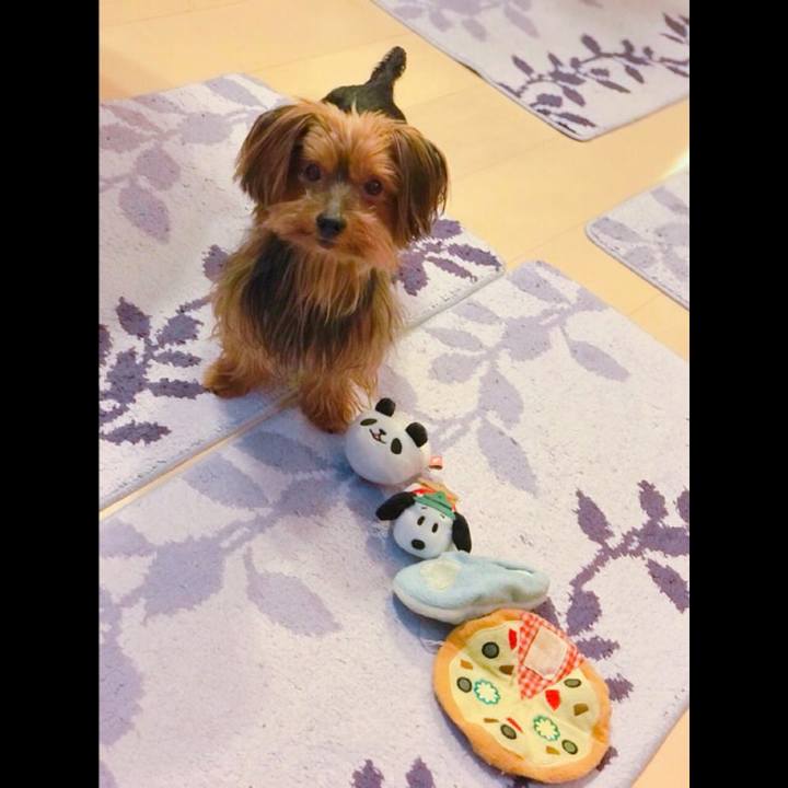 0b3d572e 6e1f 493c 9830 65a1b16bd58f 1535067802333