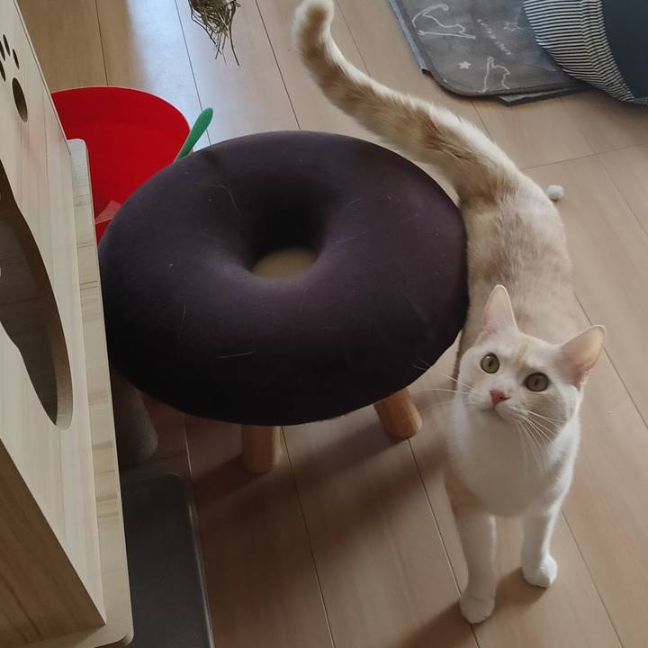 0b3d5882 3371 40ce abfa fe7eb9b0b1a2 1677630927487