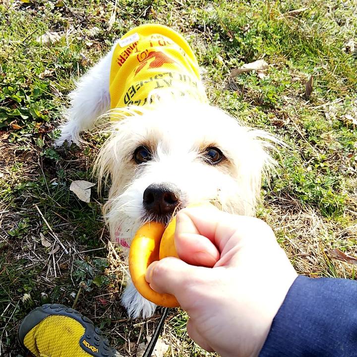 0b3d8f42 f556 4728 a22c ddb4ff92b327 1551533792873