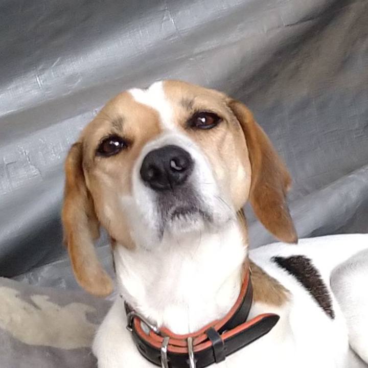 0b3da547 e479 4fad 9d86 1705c7cf33a3 1635780510376