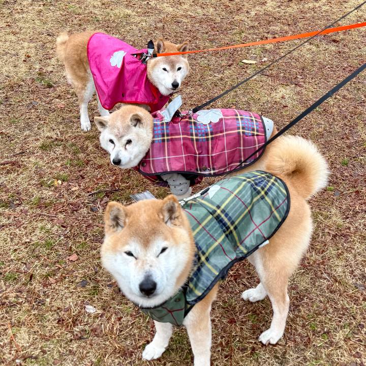 0b3dc8cf 9777 467f 97f3 674bf28bbc0c 1772056082371