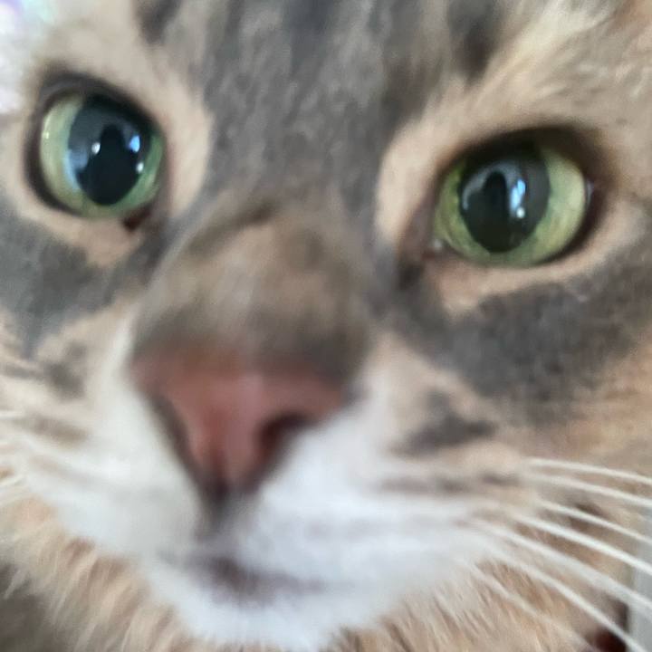 0b3dda9a ca0b 4d1b badb 77d02e5b9b54 1763962700164