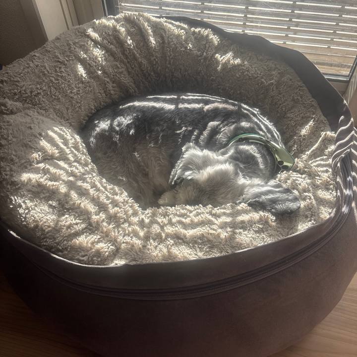 0b3e07ae 624f 40cc 94a2 d5ac2b667da2 1737077539470