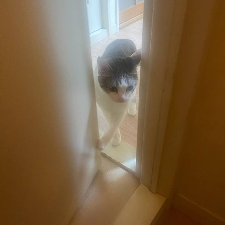 0b3e81e6 65c7 4d12 90c3 408382d7a02b 1626044729553