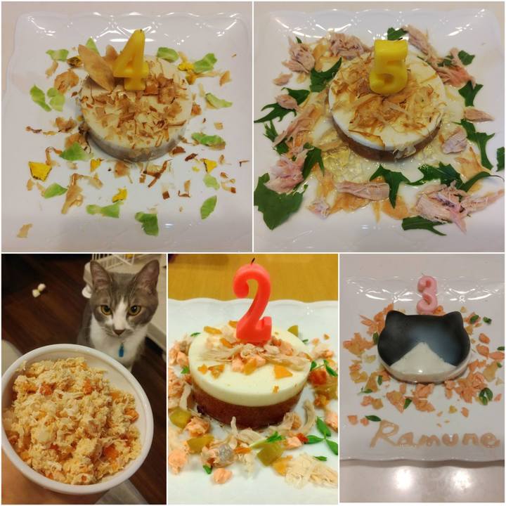 0b3ea233 3e5c 45c4 a87c 48af9cc77a1e 1718097856702