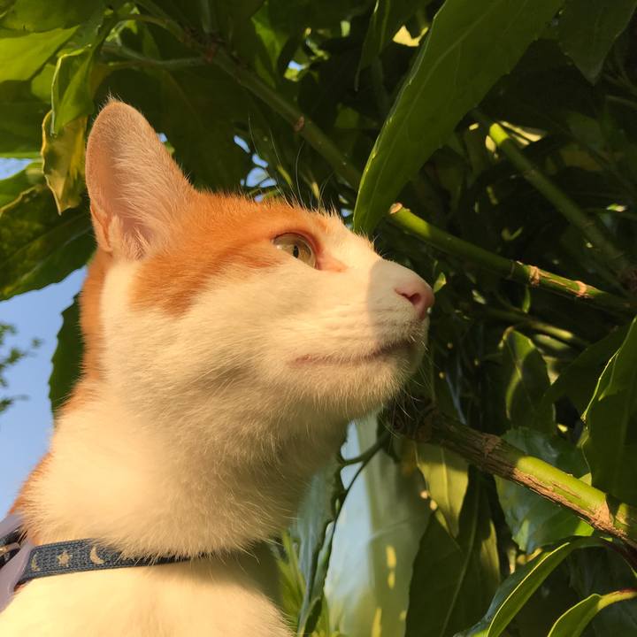 0b3eb3ae 99f7 4458 a04b b57f88c47e85 1528360315450