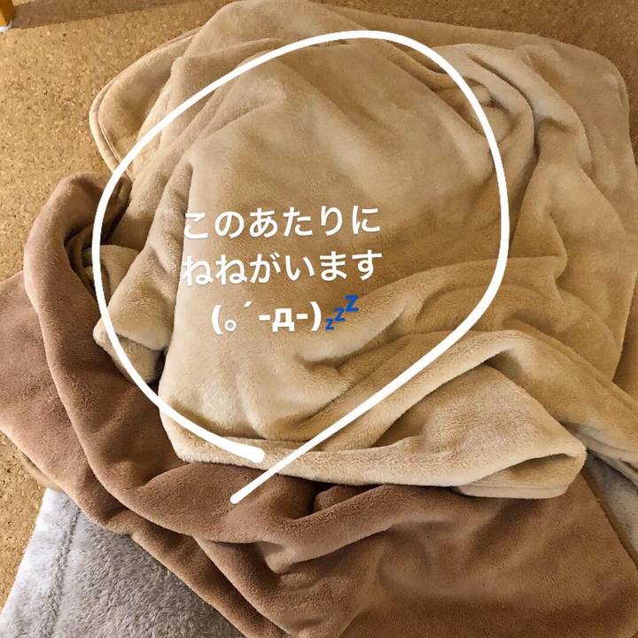 0b3eb965 d35c 4c4d b9aa 15dc3b981215 1516855007785