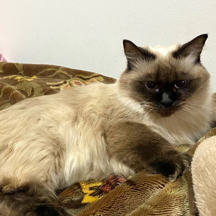 0b3edef7 9526 4afd bd7c da32ed435be2 1702650615012