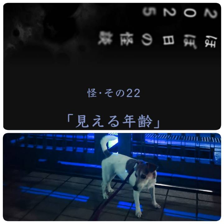 0b3ee971 ca4e 42ea 93e1 c35cc42c5c9b 1756130658456