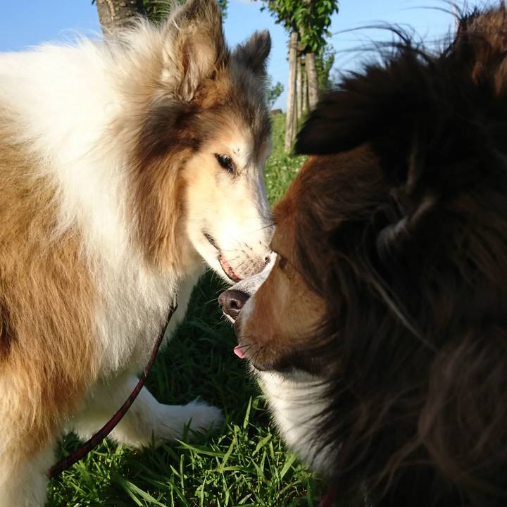 0b3f4237 4d46 4417 bb93 a6c3861516f6 1530435826175