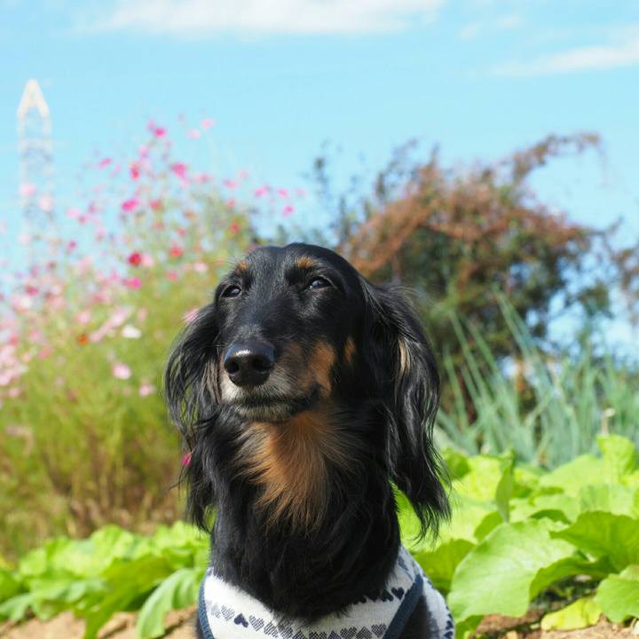 0b3f5fc3 78d1 44b8 8db5 98e54fe65e34 1602648843663