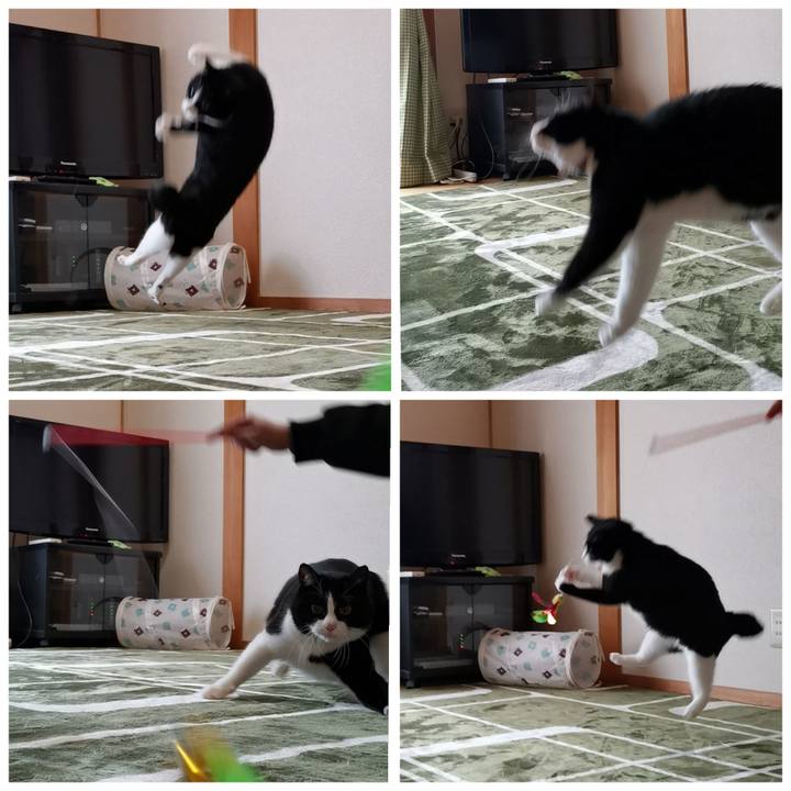 0b3faa8b 77fa 4df1 9619 6e31e388c345 1615891942717