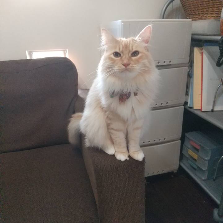 0b3fb339 2bad 4668 aeae 39d1d0479944 1648072310210