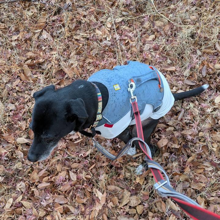 0b3fbbbc 6380 4913 adf6 aa63abb0e8db 1737417406165