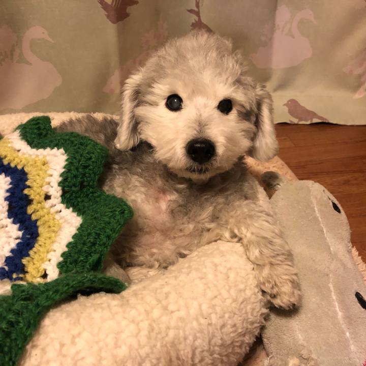 0b3fd1de 69cd 4d44 b2bf ed4c33d3c3b1 1606259949363