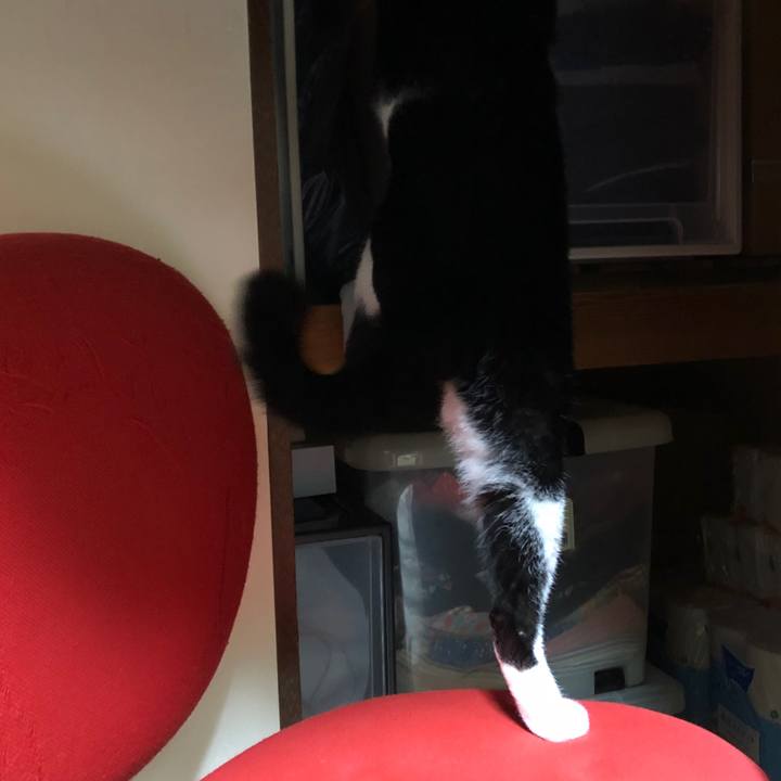 0b3fd3c0 c1b9 4296 96bd 2af11719923f 1547030706799