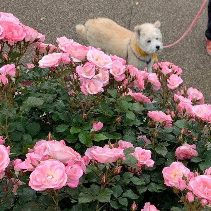 0b3fefe2 8c4e 454f a6ec 43b78495d7dd 1652014609725