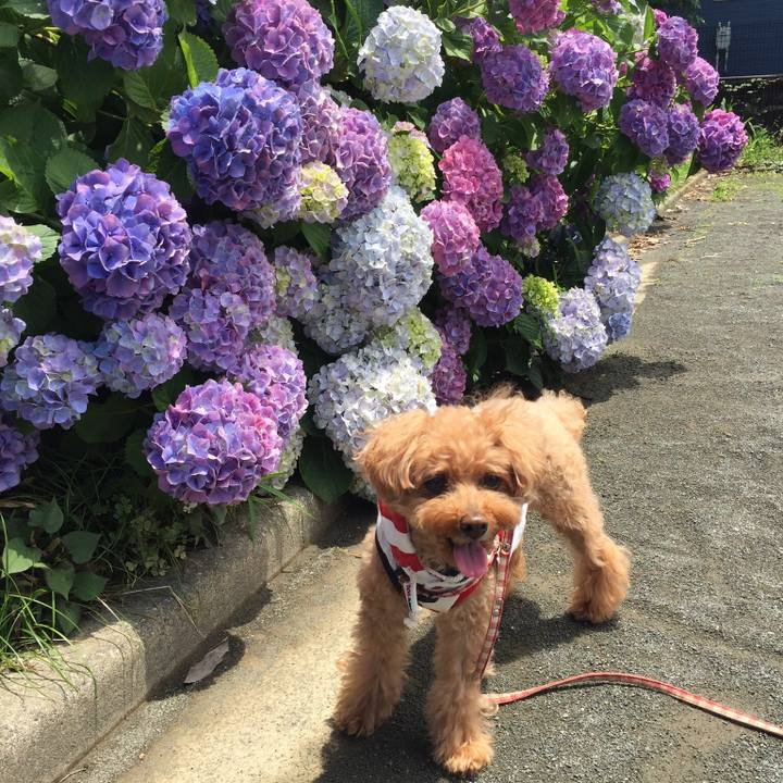 0b40238d 55b5 4b29 9be8 6a77e48140ac 1528362367565