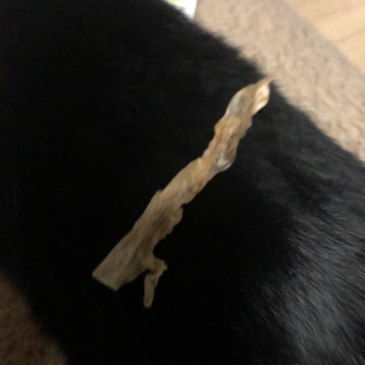 0b406a85 e6c2 4f16 97b8 12660c46d16f 1611412754130