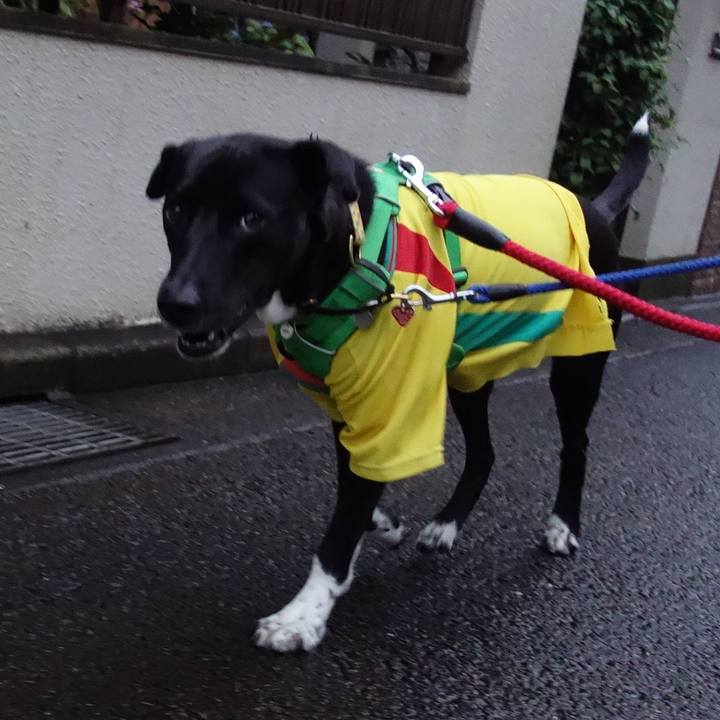 0b40d27e d81f 4a24 8c32 cfe91bd5def0 1592045275840