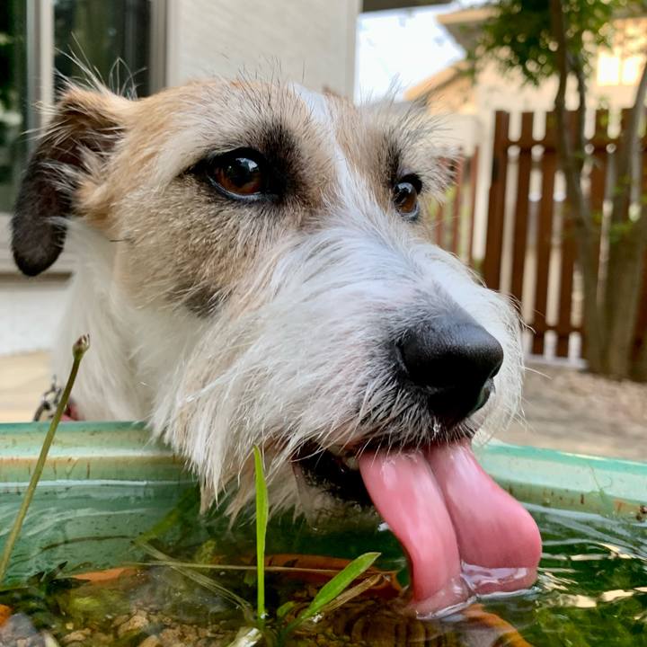 0b40f897 7c5e 4c44 8044 cc3203fa1c75 1650716802406