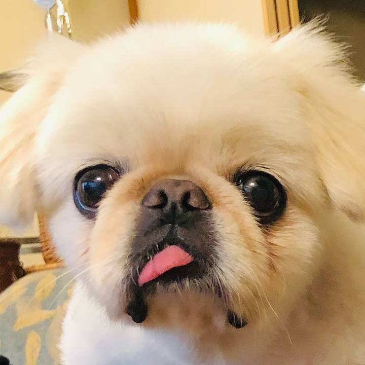 0b40fab3 4f10 4057 9d37 7b5af93577be 1630918094878