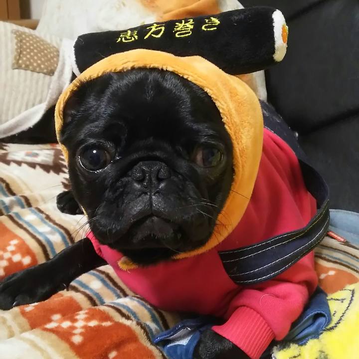 0b4100eb cd22 43ce 8ad3 f293b87efb62 1517666091806