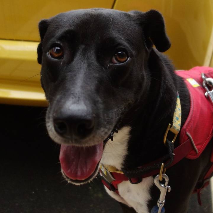 0b413a1e 0ada 4b49 8a93 bfc45ebb0dc2 1625526470828