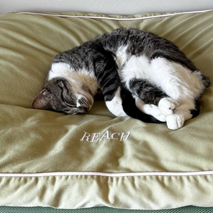 0b415d1e 44e1 467c ba25 e047d6c340ca 1684844184245