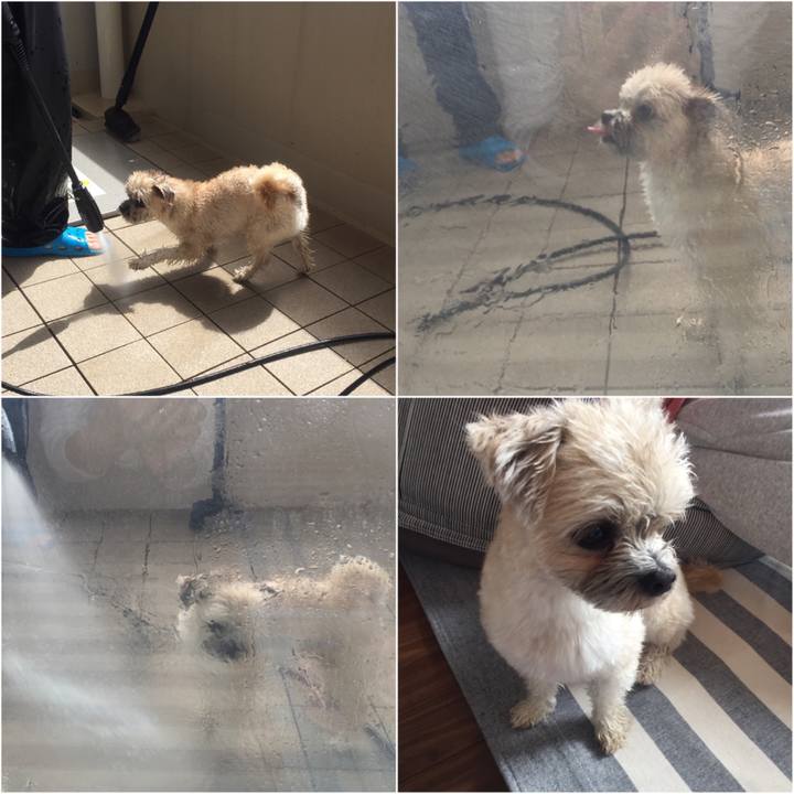 0b4163d0 7ba2 441c bc99 9ff7f407161d 1523758540884