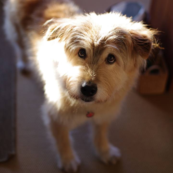 0b41670f d262 4371 b51f 379272b47bce 1635123766012