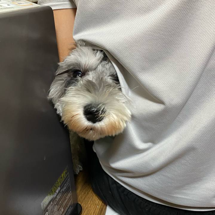 0b41752d 514a 435c 9337 a4903627cf84 1602312224530