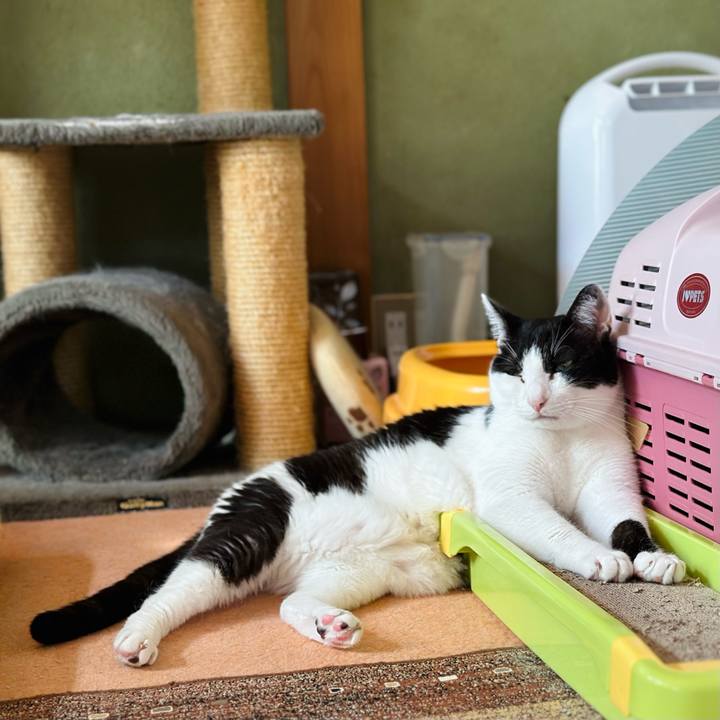 0b418cf4 1af7 496d b805 38a72b774fc6 1692230756692