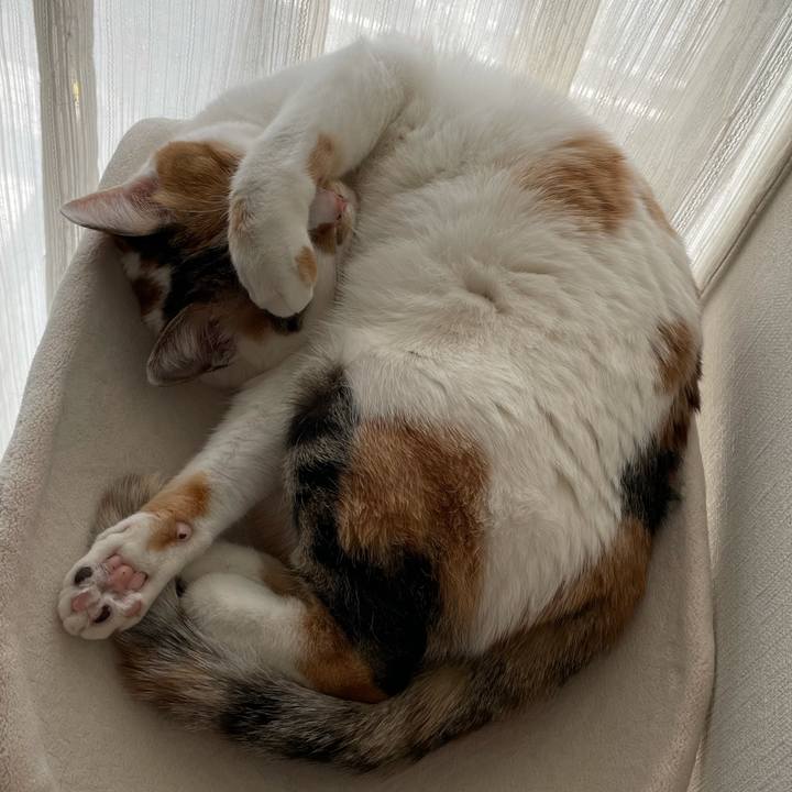 0b41a2d6 681d 41dd 92c6 126b10cabff9 1612672783899